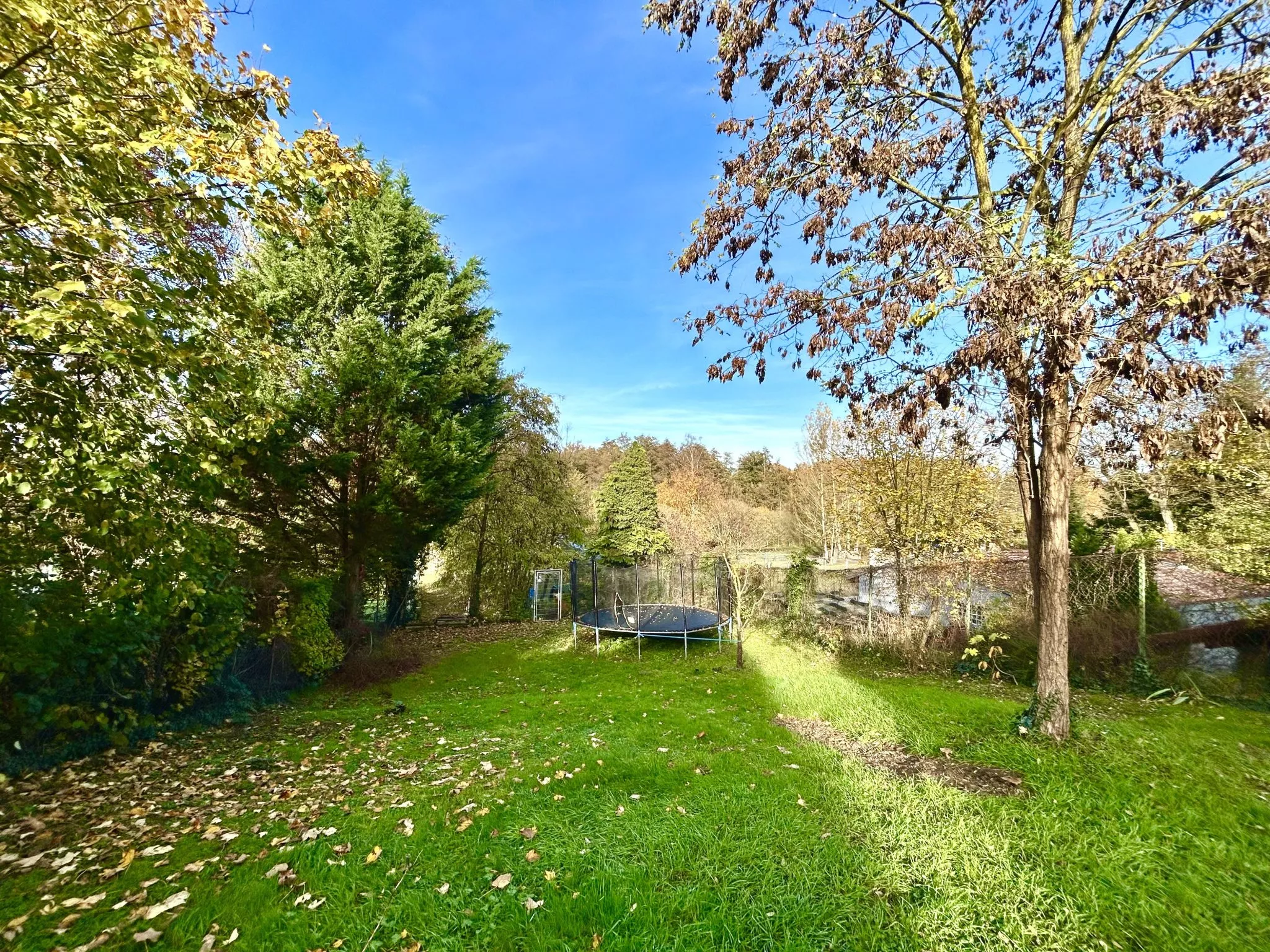Immobilienangebot - Linkenheim-Hochstetten - Alle - Sanieretes Einfamilienhaus mit großzügigem Garten und Scheune