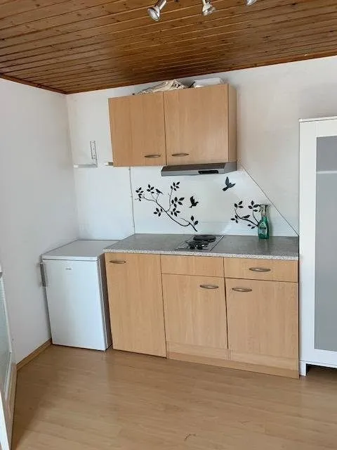6LangKüchenzeile Immobilienangebot - Karlsruhe - Alle - Helle, möblierte 1-Zimmer-Wohnung im schönen Weiherfeld zu vermieten